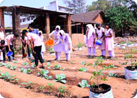 PTMHSS Higher Secondary School Kodiyathur